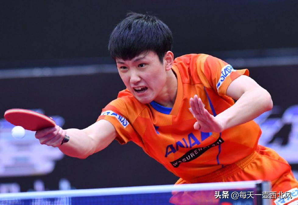 韩国乒乓球队强势中国乒乓球队,张本智和送出助攻的简单介绍 韩国乒乓球队强势中国乒乓球队,张本智和送出助攻的简单介绍