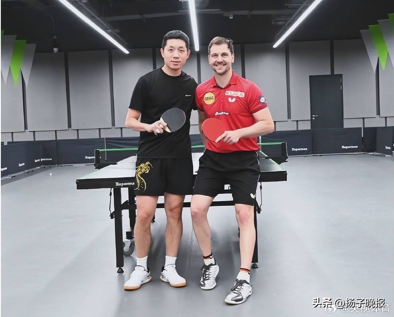 德国乒乓球队爆冷奥地利乒乓球队,波尔制霸全场的简单介绍 德国乒乓球队爆冷奥地利乒乓球队,波尔制霸全场的简单介绍