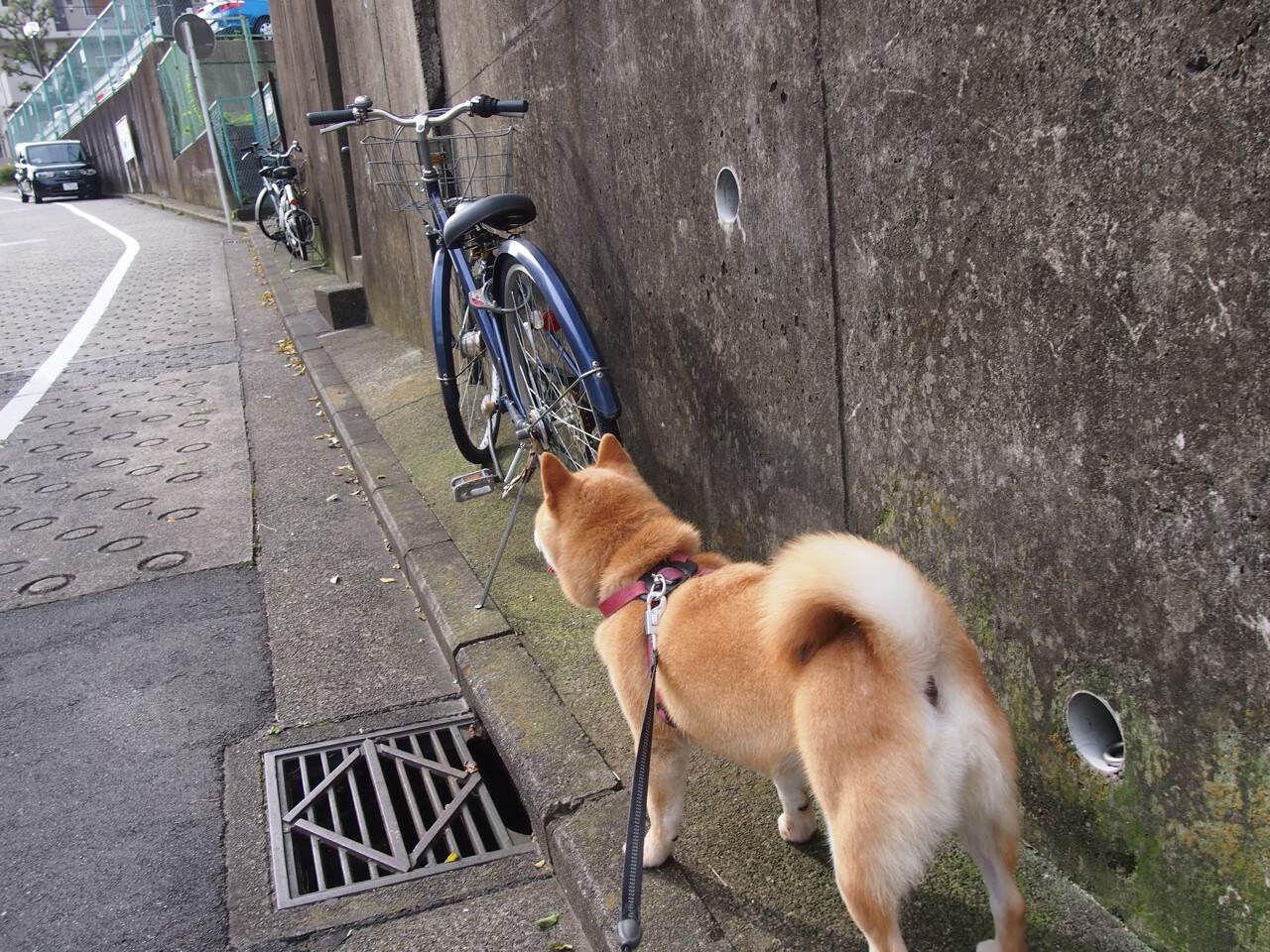 闪电撕裂潘塔纳尔,基米希冷箭与巴西风暴的单节审判