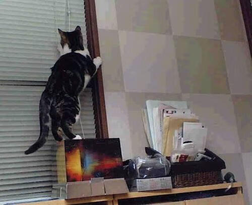 英格拉姆压制级发挥，湖人横扫雄鹿，新王登基的完美诠释