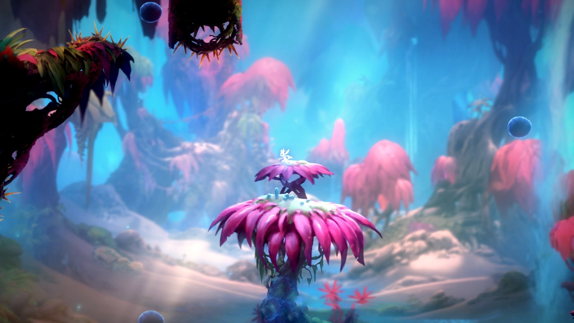 佛罗伦萨的东方棋局与佩德里的绿茵权杖，2026，足球新秩序的诞生