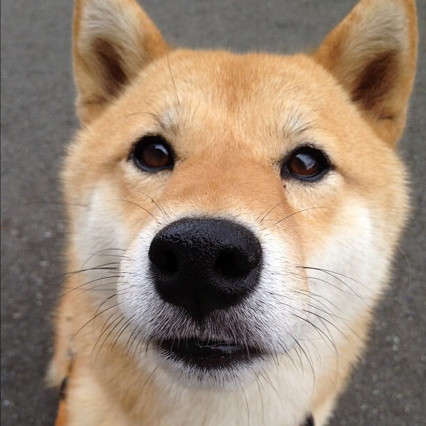 黑暗里的灯塔，东决关键战之夜，哈登的稳定与救赎