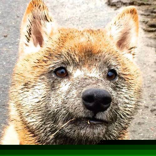 神话对阵法术，基耶萨一锤定音，希腊险胜摩洛哥