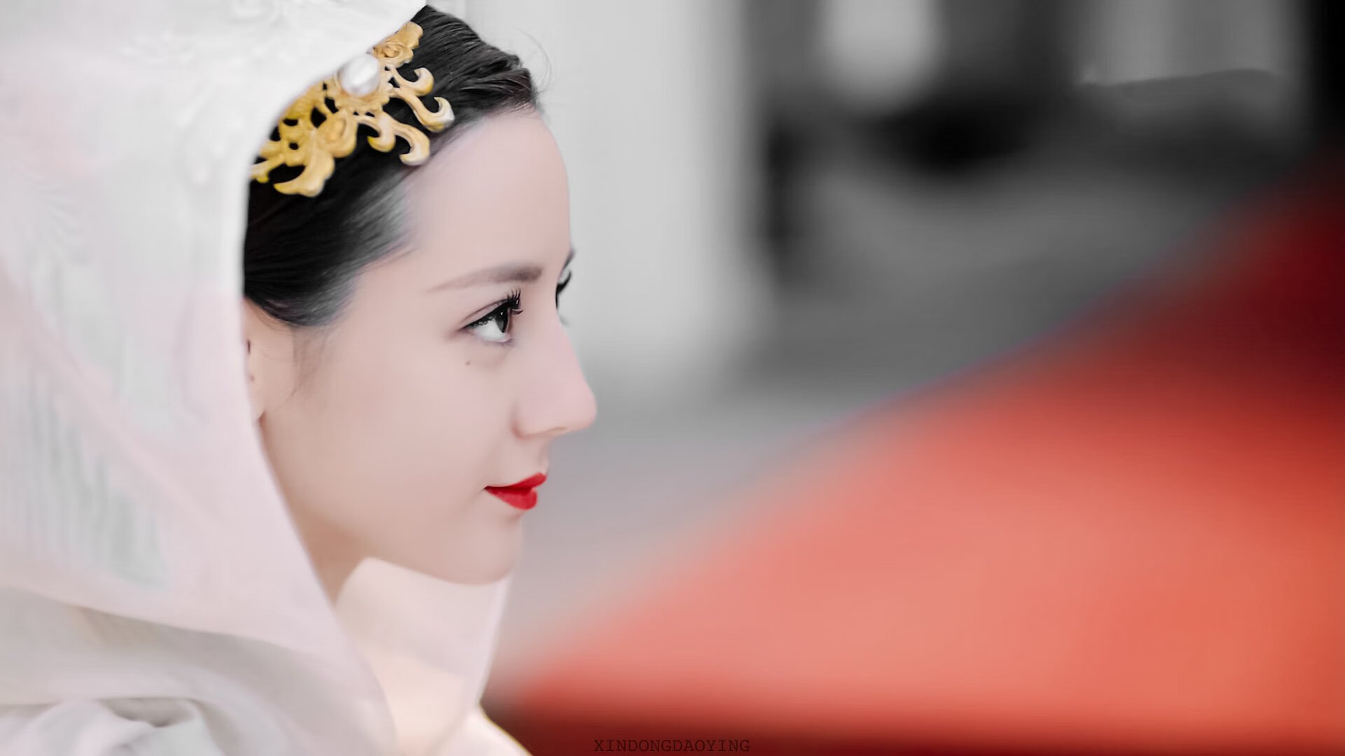 瑞士封锁爱尔兰危机，阿克的关键斡旋