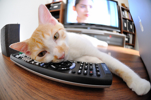 莱比锡红牛展现强大火力，伊萨克稳定输出助球队压制毕尔巴鄂